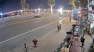Tini Martini Bar Cam