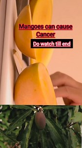 Check the mango before eating them #calciumcarbide #mango #health | T He Wani