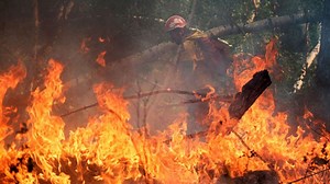 Siberian wildfires now bigger than all other fires in world combined