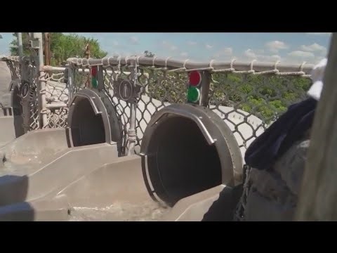 Woman sues Disney World after painful wedgie following water slide leads to permanent injuries