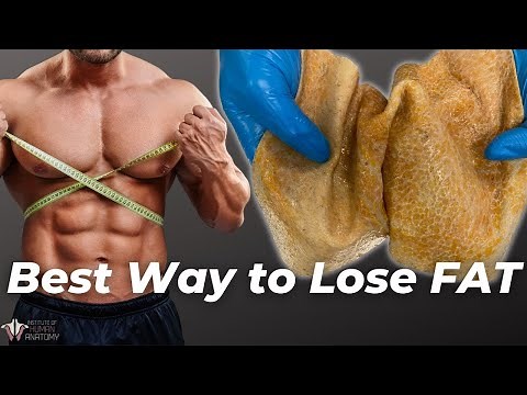 The Best Way to Lose Fat According to Anatomy | The Science of the Fat Burning Zone