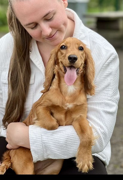 Ruby the cocker på TikTok