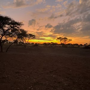 Kevin Wolter on Reels