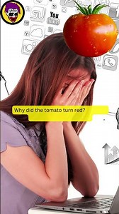 BEST Funny Joke: Tomato On The Face #Shorts