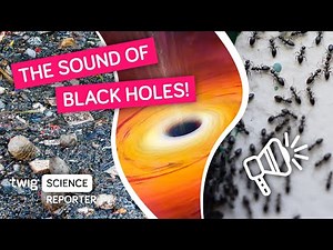 Twig Science: What Do You Think A Black Hole Sounds Like