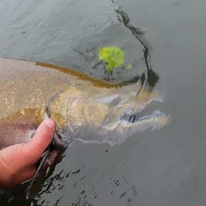 Fishing in a MASSIVE Wind & Rain STORM!! | Addicted Fishing