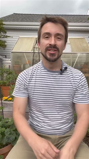 The largest organism in the world is a fungus🍄nicknamed the humongous fungus🍄 This fungus🍄discovered in 1998 occupies almost 2,400 acres, or about 4 sq miles ( 10 sq km) The fungus grows spreads with rhizomorphs, which similar to rhizomes in plants, can expanded out to find new sources of food Unfortunately that food is the roots of conifers🌲, and this species of fungus causes Armillaria root disease, which kills many conifer trees#naturalists #newenglandnature #natureblogger #naturenerd #na