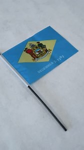 Vertikale Aufnahme der Delaware State Flag.: Stockvideos & Filmmaterial (100 % lizenzfrei) 3980988317 | Shutterstock