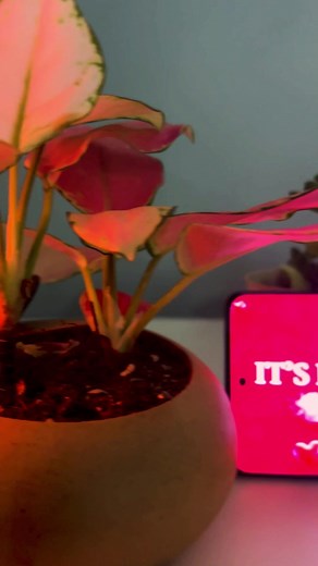 Experience a Valentine's like never before: with electrifying music,...