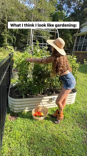Christmas pants, boob sweat, weeds that won’t stop. But seriously… why are there so many weeds?!? #gardening #gardeninglife #gardeninspiration #gardenlove #garden #gardeningisfun #gardeningtips #growyourownfood #growyourfood #growyourownveggies #gardens #myvegogarden #gardenparty #weeding #summer #raleigh #homeschoolmom #homeschool #harvest #harvesttime | Well traveled child