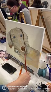 The Paint Factory on Reels