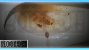 BOOTECH | DDR | October 28 & 29, 2020