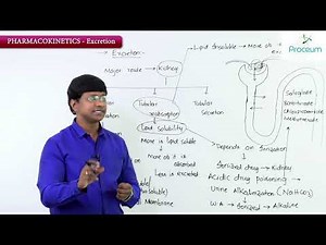 12. Pharmacokinetics: Excretion (Part-1): General Pharmacology Lecture