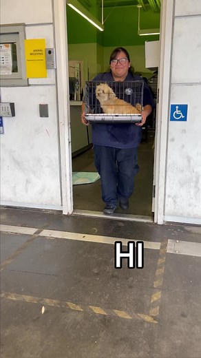 2.5K views · 125 reactions | This itty bitty babe is named Mistletoe...