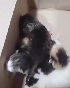 Rio Verde Goiás on Reels