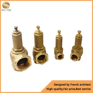 [Hot Item] Non-Return Vertical Brass Spring Swing Check Valve for Air Compressor with Lever