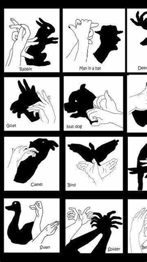 Shadow Art,