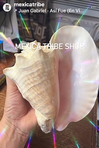 We have Aztec conch trumpets horns Mi’totiliztli azteca danzante shells! #mexico | Aztec Nation