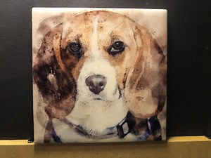Raffy, der gerettete Beagle - Etsy.de