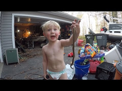 Toddler catches snake - Found boat in garage - Baby throws up on me.
