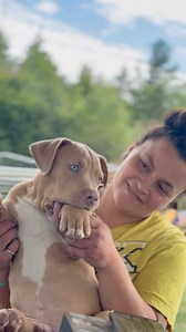 35K views · 1.8K reactions | Will he keep those beautiful blue eyes ❤️ #reels #puppy #eyes #viral | DarkDynastyK9s | Facebook