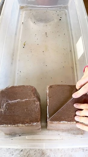 Coco peat is light, easy to handle and can even be reused for up to 4 years. The physical and biochemical properties of cocopeat make it resistant to bacterial and fungal growth. Cocopeat disintegrates slowly. It only begins to break down when it is ten years old, thus providing long-term benefits. . . #potting #snooker #gardening #plants #snookertable #cuetips #cue #practice #cueball #skills #practicemakesperfect #snookerskills #breakbuilding #attackingplay #learn #greenbaize #advice #onevisit 