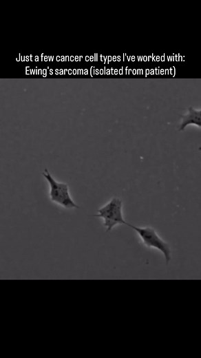 Understanding Cancer Cell Types and Heterogeneity