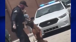 K9 bit officer seen striking dog in viral video, Fayetteville Police say in releasing findings