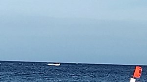 18 reactions | team WARRIORS CALERONIAN VS team PANTERA POSEIDON WHITE sumo all stock PANAGATAN CATEGORY @maslog danao cebu bancarera 2023 | Kaboss tv | Facebook