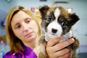 14K views · 353 reactions | GORDY NEEDS US!! SHE NEEDS TO GROW A BIT...