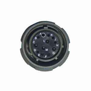 [Hot Item] J599/26fa98pn Amphenol Circular Mil Spec Connector