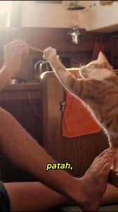 Kisah nyata Solo Trip Paling "Real" Robin Lee Graham #info #unik | SINDOInfo