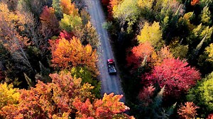 Wisconsin fall colors update: Foliage is peaking or past peak in most of the state