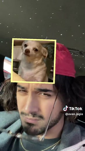 Avanjogia (@avan.jogia)’s videos with Daylight - David Kushner