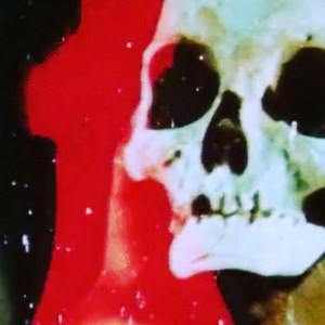 2K views · 120 reactions | Night Flight on Reels | Facebook