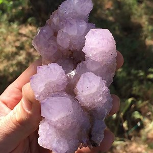 Cactus Quartz Cluster with Citrine and Amethyst Boekenhoutshoek, Mpumalanga Province, South Africa Available #organicmechanics #cactusquartz #amethyst #citrine #quartz #quartzcrystal #mineralspecimen #fineminerals #gemporn #gemsofig #crystals #crystalkid #crystalsofig #crystalhealing #healingcrystals #crystalporn #natural #nature #gemmy | Organic Mechanics Jewelry