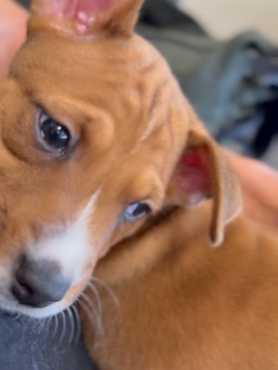 6K views | Ludi Lin on Reels | Facebook