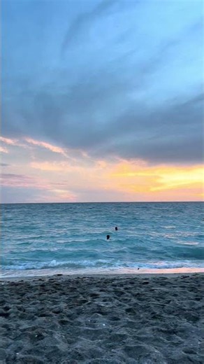 Turtle beach on the gulf of Florida #waves #ocean