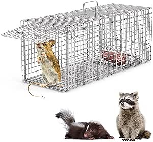 KOCASO 32"x12.5"x12" Foldable Humane Live Trap Cage - Versatile Cat Trap for Stray Cats, Squirrel, Raccoon, Opossum, Mole & Feral Cats, Durable Safe Release Ideal for Indoor/Outdoor Use