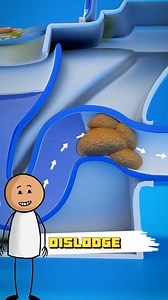 3.3K views · 18 reactions | How To Clear A Clog With A Toilet Sticker #facts #randomfacts #learnontiktok #curiosity #satisfying #satisfyingvideos | MindfulFacts | Facebook