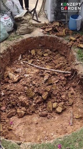 10 best outdoor fish pond garden makeover | Konzept Garden