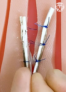 Learning useful first aid survival hacks Partner: vetventures2.0 | Crafty Panda