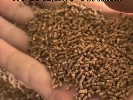 从防结到增效：HT-650气相二氧化硅赋能水产饲料卓越品质#水产#饲料#二氧化硅#抗结块#膨化料#鱼饲料
