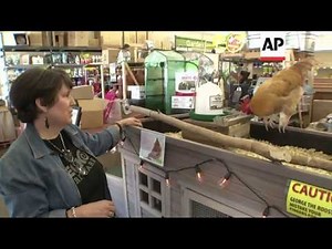 A Dallas hardware store owner isn't surprised when new customers have their feathers ruffled over th