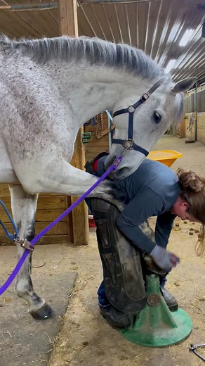 Understanding the Art of Farriery and Its Techniques