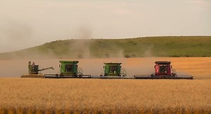 LaRosh Wheat Harvest 2015 -Doug A-