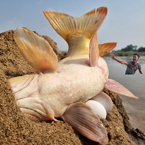 237K views · 1.5K reactions | Amazing big stuck gold carp fishing in the river sand hill hole. best 2025 fishing video #fish #fishing | Only Fishing | Facebook