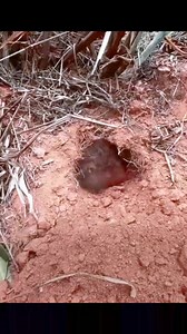 646K views · 10K reactions | O Ya E Lor Saseyori Ninu Aye... Ni Oruko Jesu  Baba Aditu Prayer Request 08060059522 | Aditu Ni Jesu Prayer Bullet: | Facebook