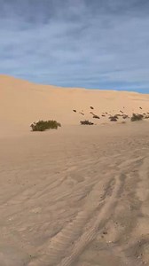 Darton sleeve 441ci LS | Hot Rod Company