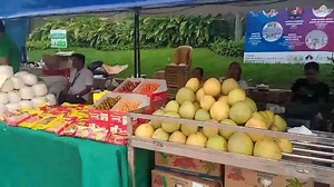 1.4K views | PANOORIN | Naglagay ng booth ang Department of Agriculture at Kadiwa ng Pangulo sa Luneta Park kaalinsabay ng Linggo ng Kalayaan kung saan mabibili ang mga produktong agricultural. Nasa P60/kilo ang puting asukal. | via Michael Rogas #RP1News #BagongPilipinas | Radyo Pilipinas | Facebook